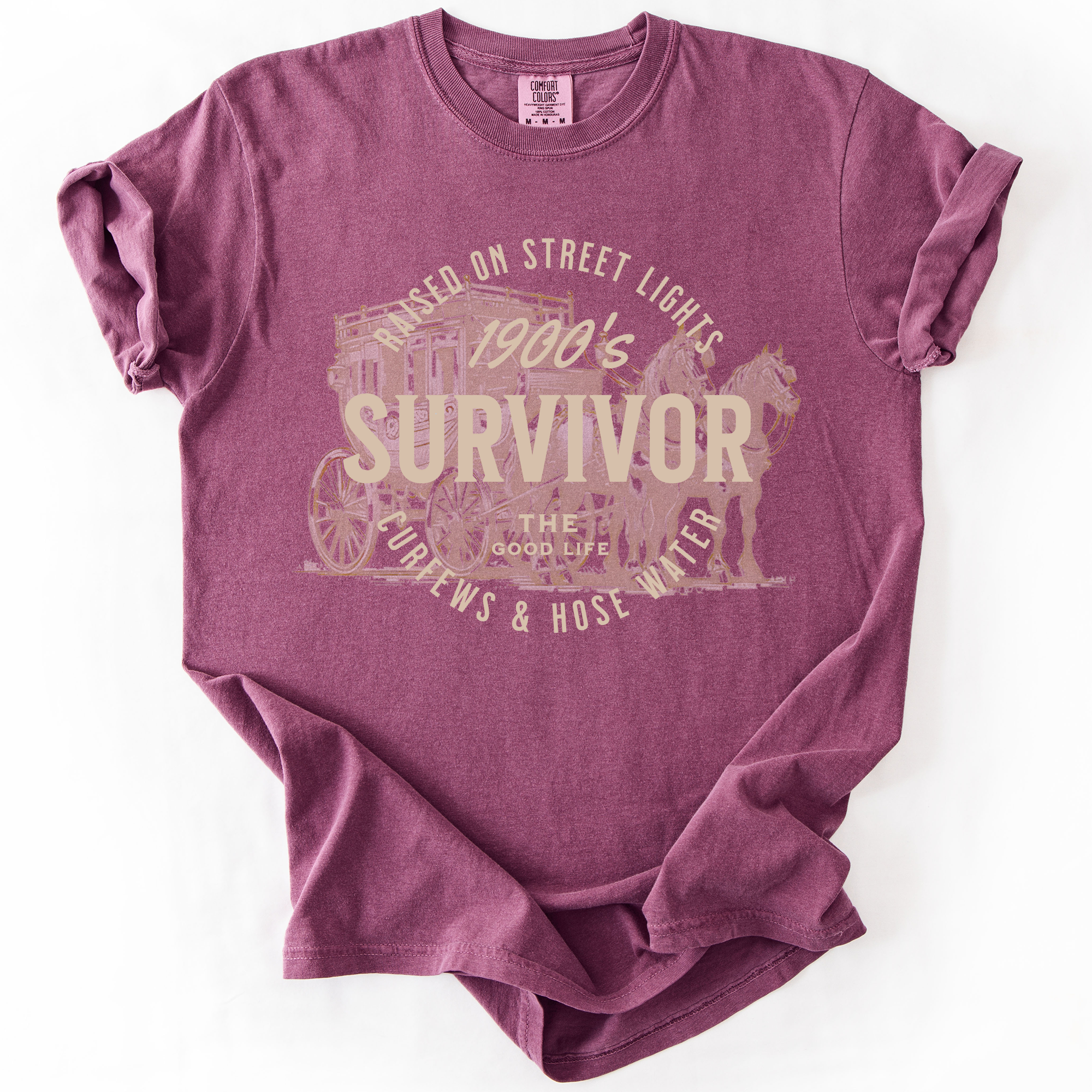 1900s Survivor, Funny, Gen X, Comfort Colors T-Shirt