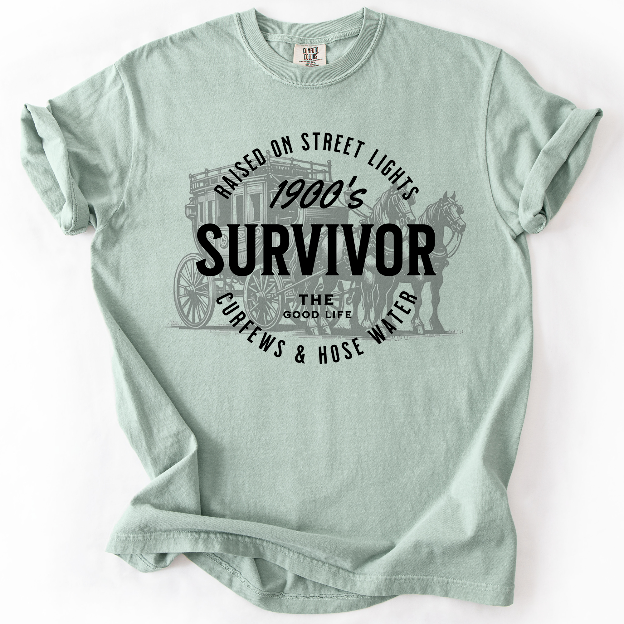 1900s Survivor, Funny, Gen X, Comfort Colors T-Shirt