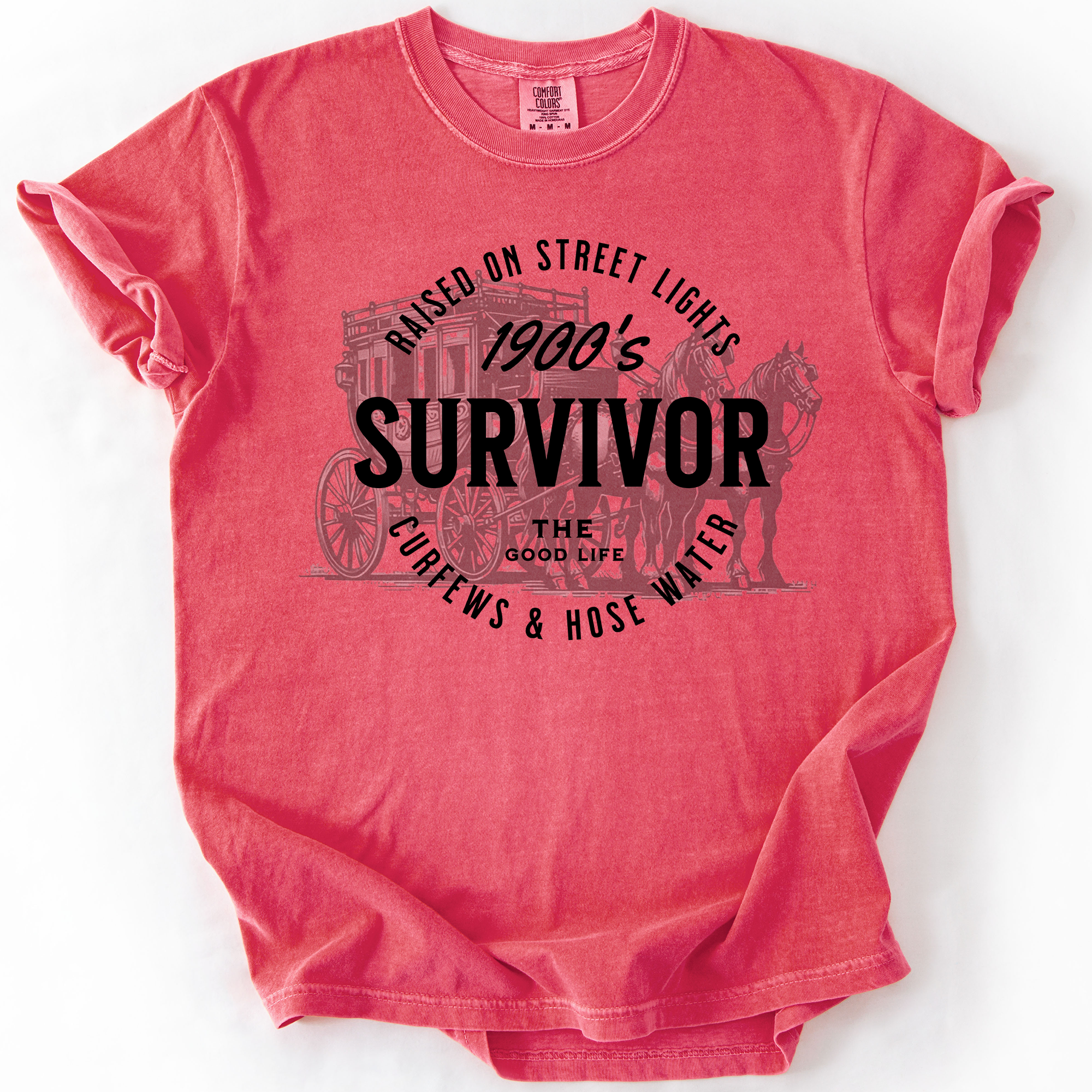 1900s Survivor, Funny, Gen X, Comfort Colors T-Shirt