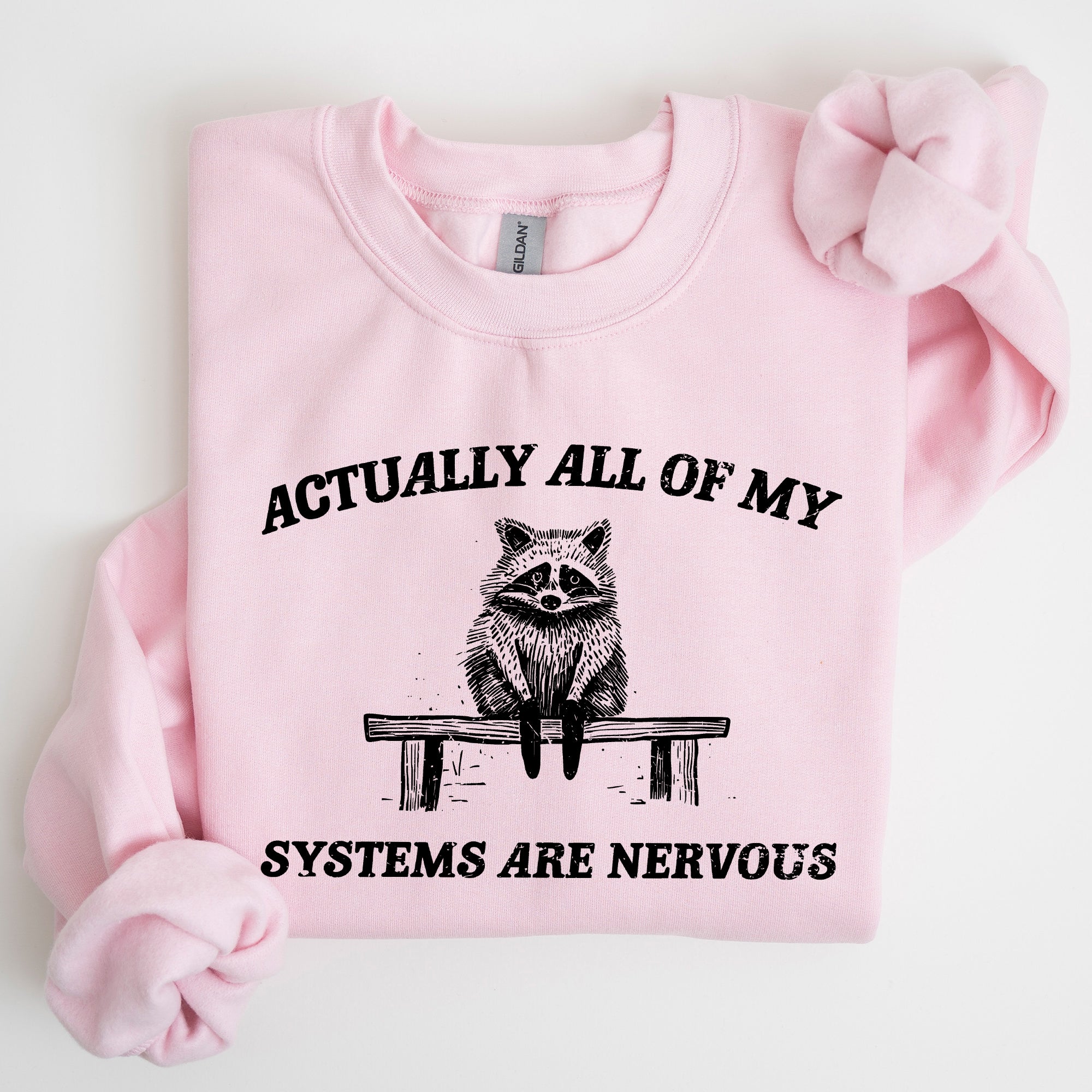 All Of My Systems Are Nervous, Anxiety, Raccoon, Mental Health, Funny, Aesthetic Sweatshirt