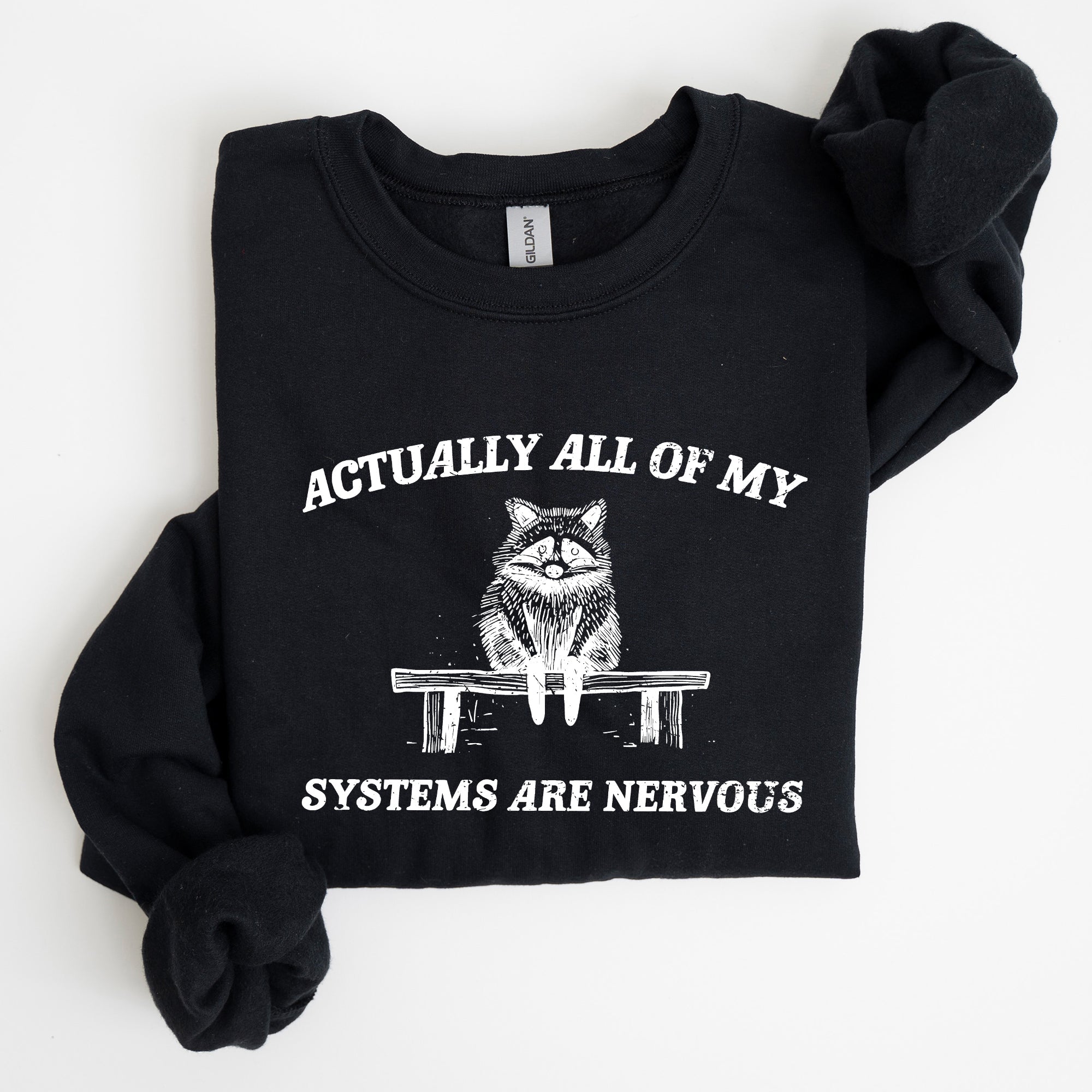 All Of My Systems Are Nervous, Anxiety, Raccoon, Mental Health, Funny, Aesthetic Sweatshirt