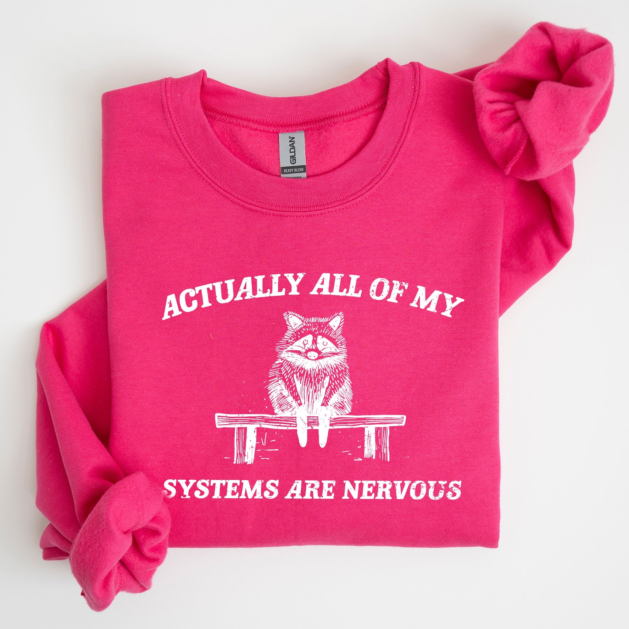 All Of My Systems Are Nervous, Anxiety, Raccoon, Mental Health, Funny, Aesthetic Sweatshirt
