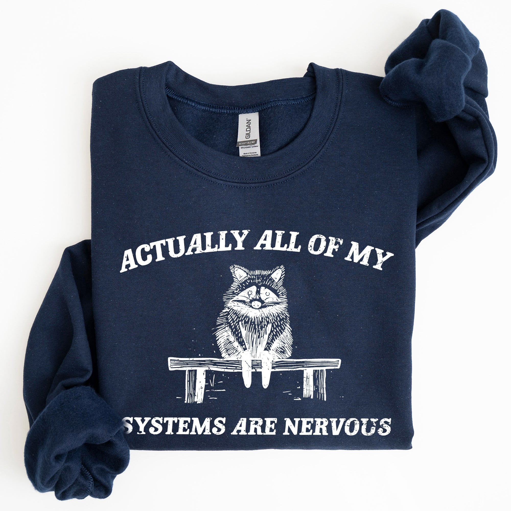 All Of My Systems Are Nervous, Anxiety, Raccoon, Mental Health, Funny, Aesthetic Sweatshirt