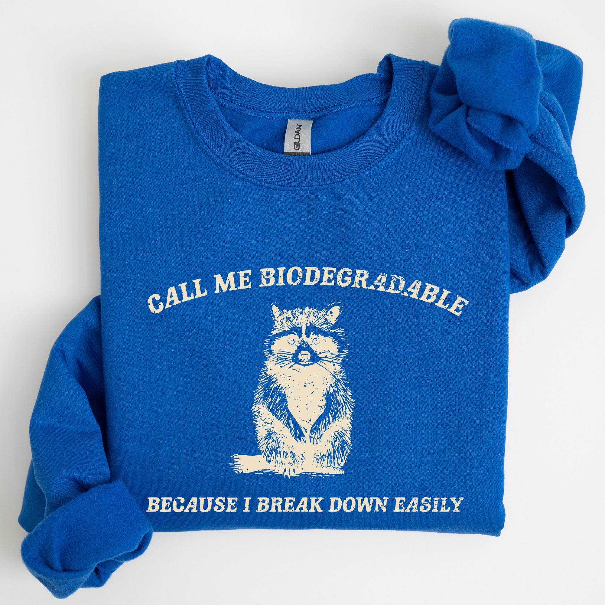 Biodegradable, Mental Health, Meme, Aesthetic, Funny Sweatshirt