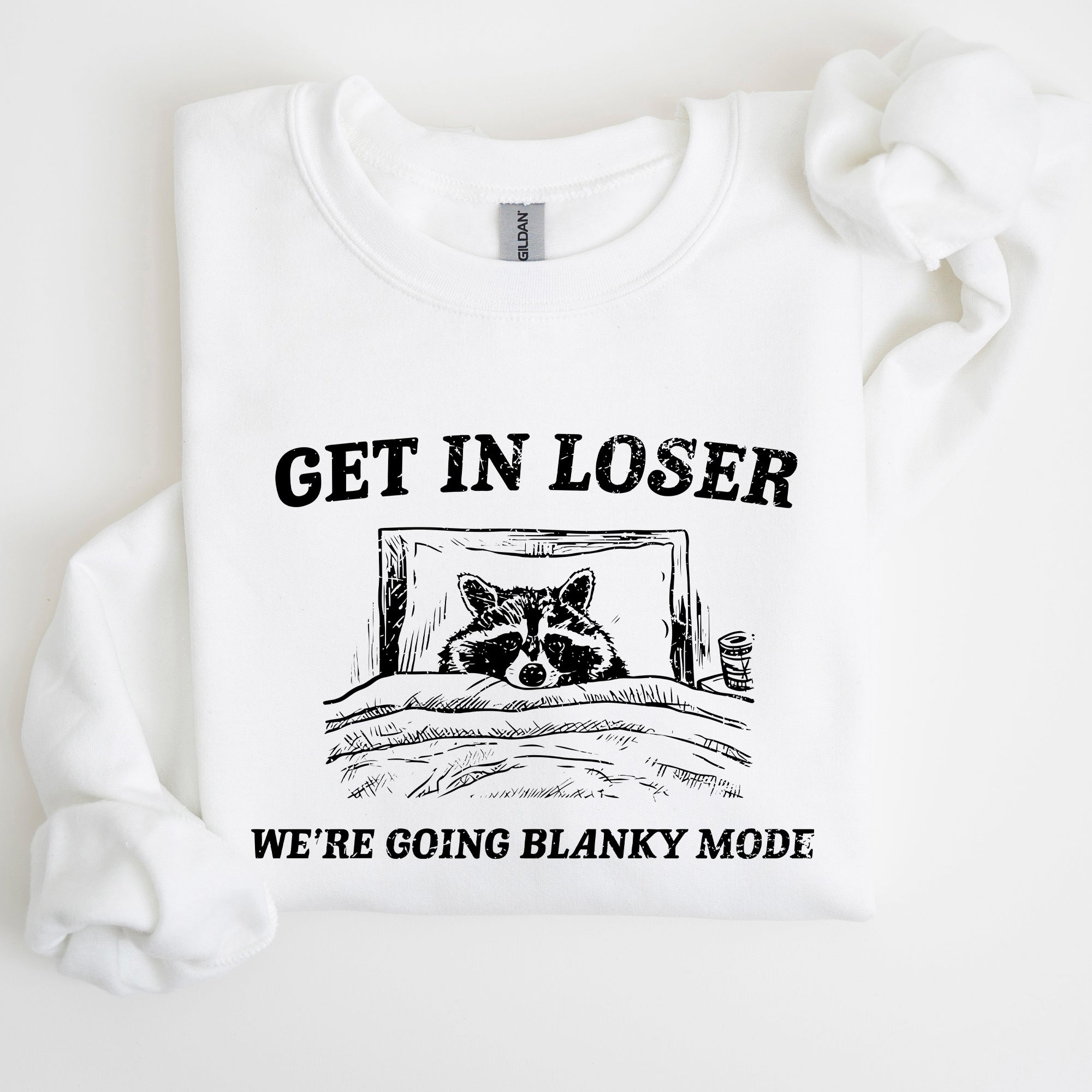 Blanky Mode, Raccoon, Meme, Aesthetic, Funny Sweatshirt