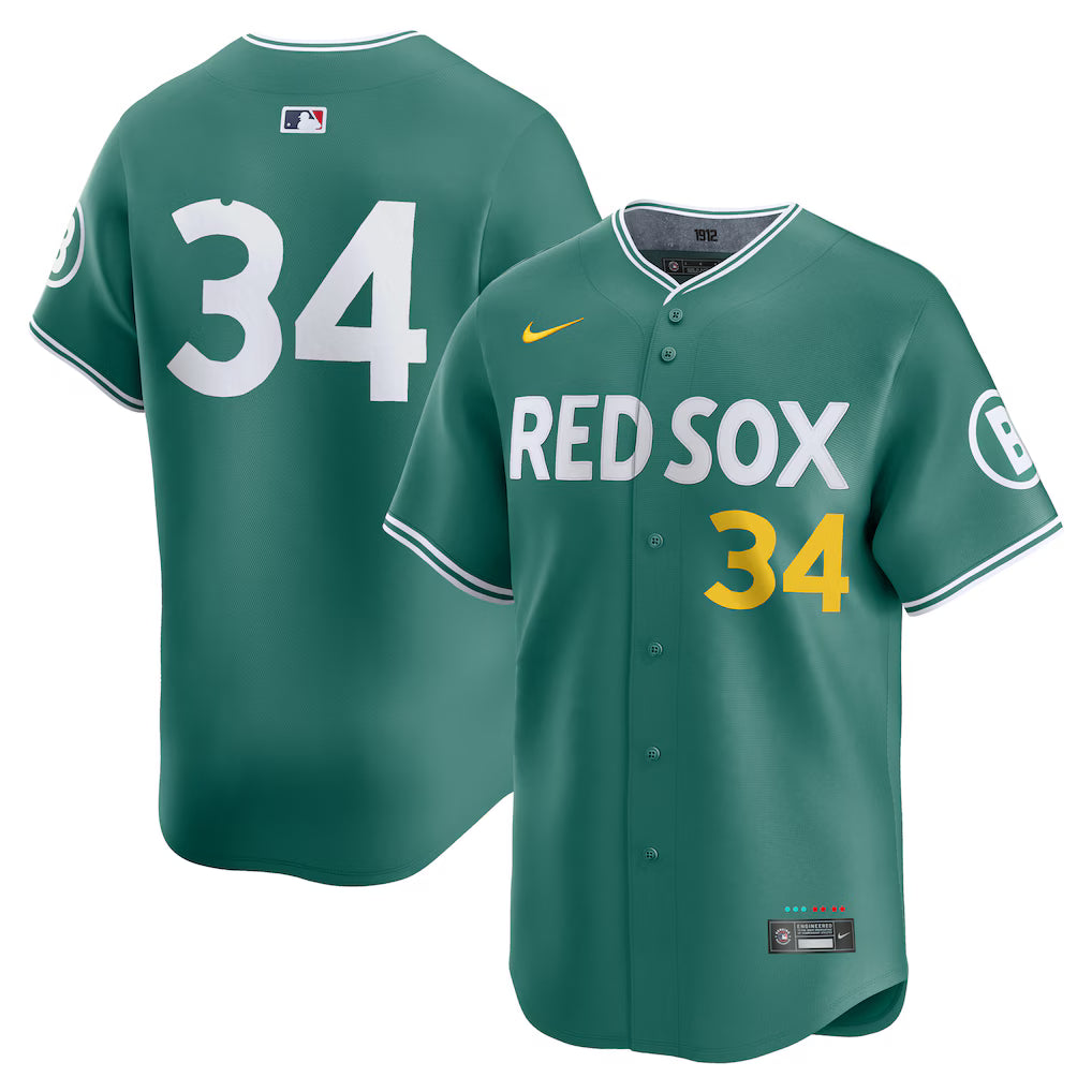 Men’s Boston Red Sox David Ortiz Nike Green 2025 Jersey