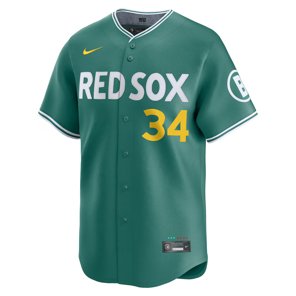 Men’s Boston Red Sox David Ortiz Nike Green 2025 Jersey