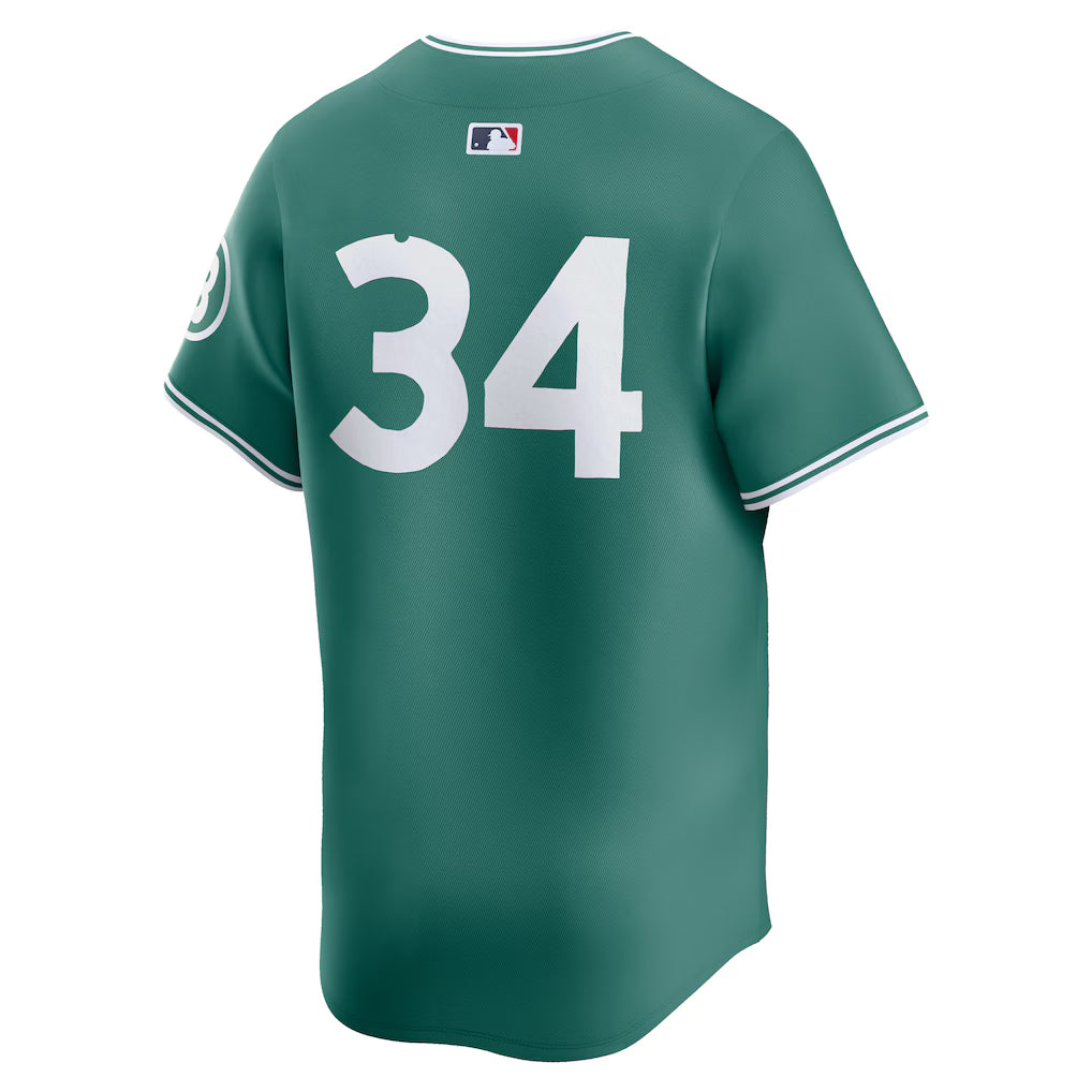 Men’s Boston Red Sox David Ortiz Nike Green 2025 Jersey