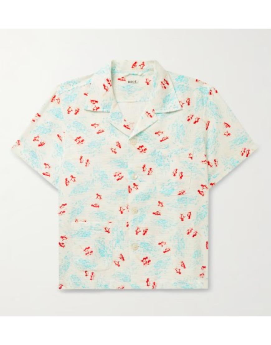 Platonic S02 Seth Rogen Skiing Penguins Print Shirt