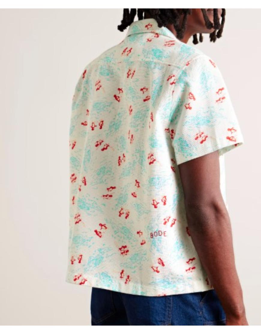 Platonic S02 Seth Rogen Skiing Penguins Print Shirt